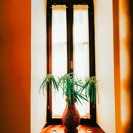 ホテル Rodos Niohori Elite Boutique 4*